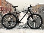 Велосипед горный Format 1214 d-29 1x9 (2023) M черный